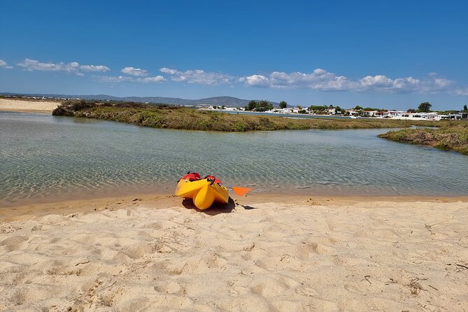 Half-Day Private Guided Kayak Island Tour - Meeting and End Point