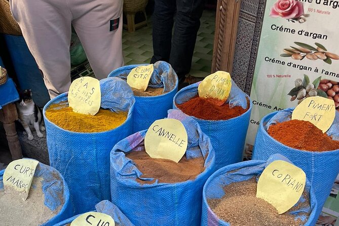Half Day Private Guided Tour of the Medina of Fez - Ratings and Reviews