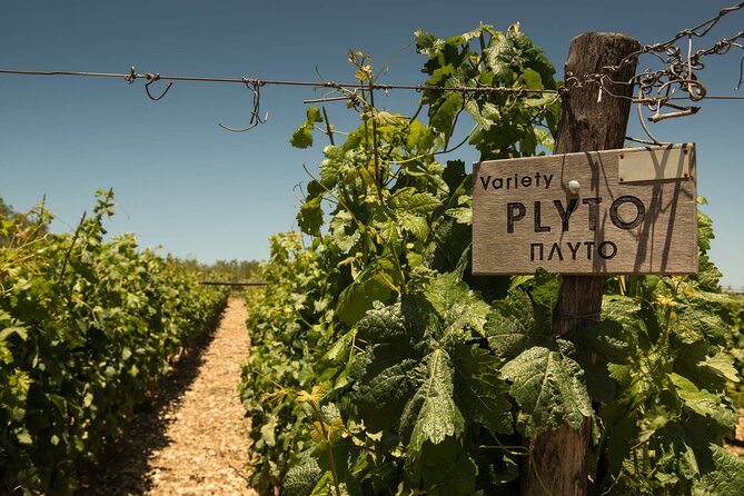 Half-Day Private Tour in Two Wineries and Archanes From Heraklion - Pickup and Personalization