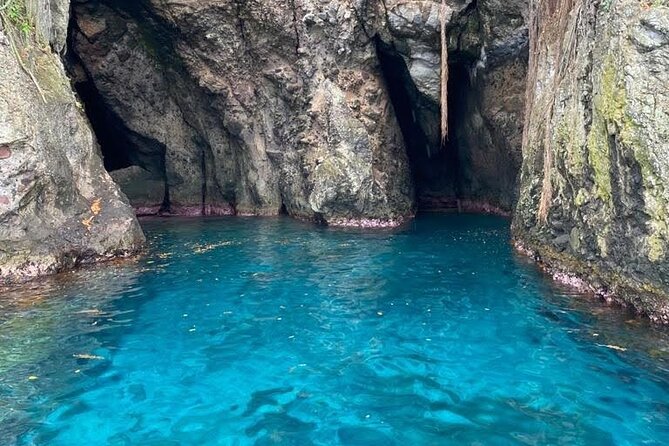 Half Day Private Tour South Martinique (Coral Beds & Turtles) - Participation Requirements