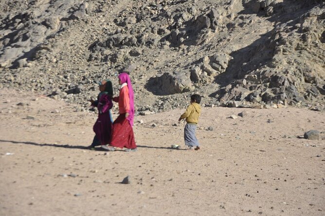 Half Day Quad Bike Adventure and Camel Ride in Beduion Camp - Health and Safety