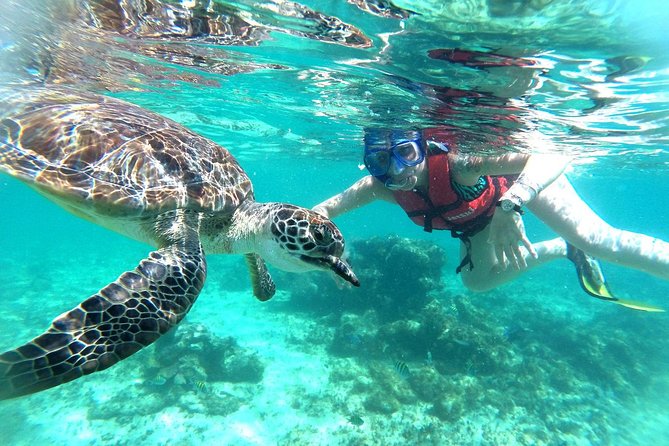 Half-Day Sea Turtle and Cenote Snorkeling Tour From Cancun & Riviera Maya - What to Bring