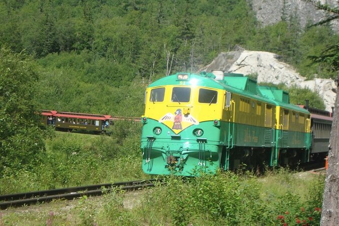 Half-Day Skagway City Tour and White Pass Summit Adventure - Experiencing the Tour