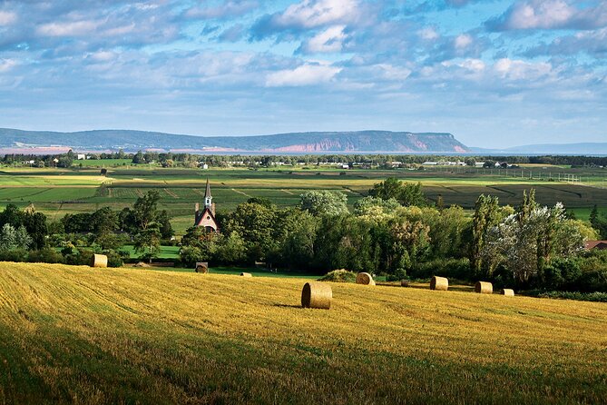Half-Day Small-Group Tour of Annapolis Valley - Tour Details