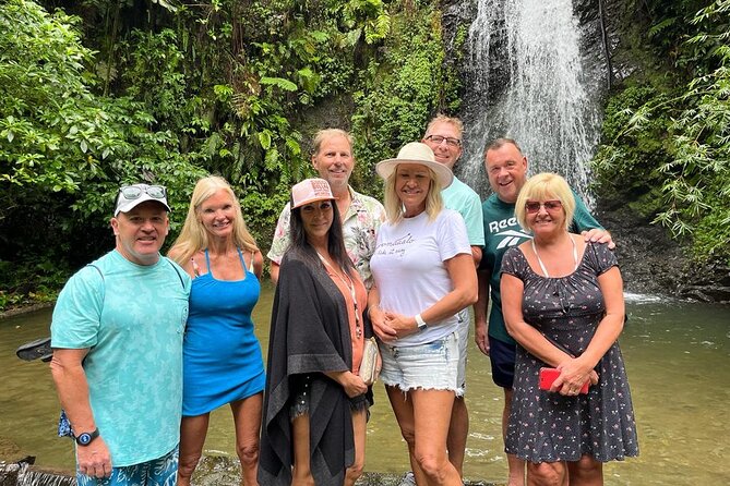 Half Day Tour Anywhere in Martinique - Start Time and Accessibility