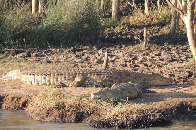 Half Day Tour in Isimangaliso Wetland Park - Planning Your Half Day Tour