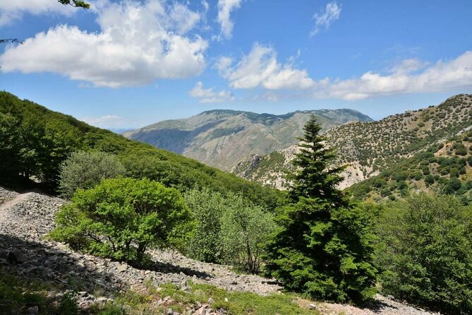 Half Day Tour in Typical Villages From Cefalù - Tour Schedule