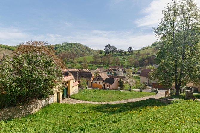 Half-Day Tour to Malancrav & Biertan From Sighisoara - Accessibility and Requirements