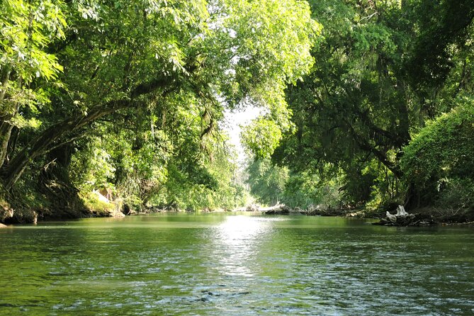 Half-Day Tour With Safari Float and Chocolate Experience - Questions About Your Stay