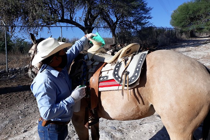 Half Day Trail Riding in San Miguel De Allende - Included Amenities