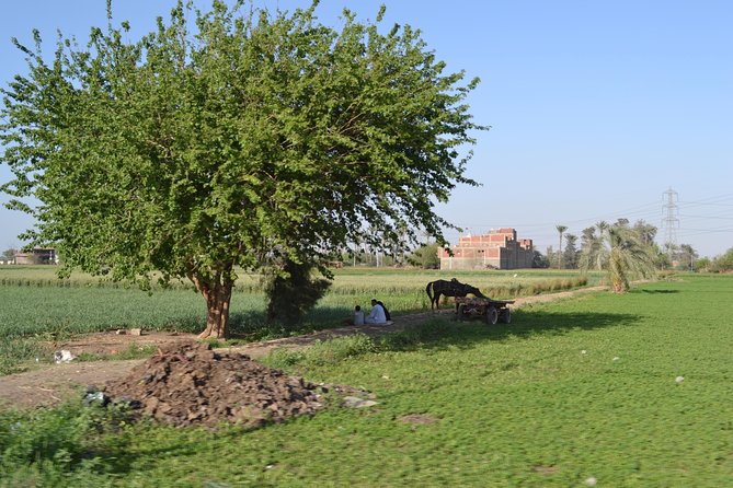Half-Day Trip to Egyptian Green Farm From Cairo With Breakfast - Booking Information