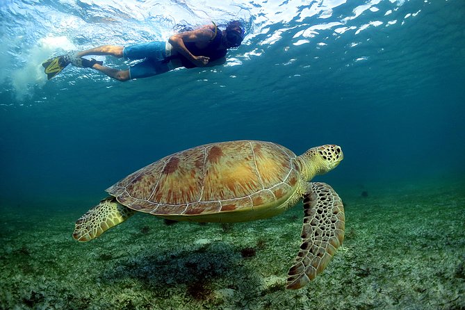 Half-Day Underwater World Tour - Reviews and Experiences