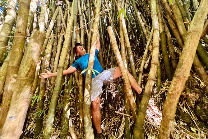 Half-Day Waterfall Tour - Hike, Scenic, Food and Photo - Hike and Scenery