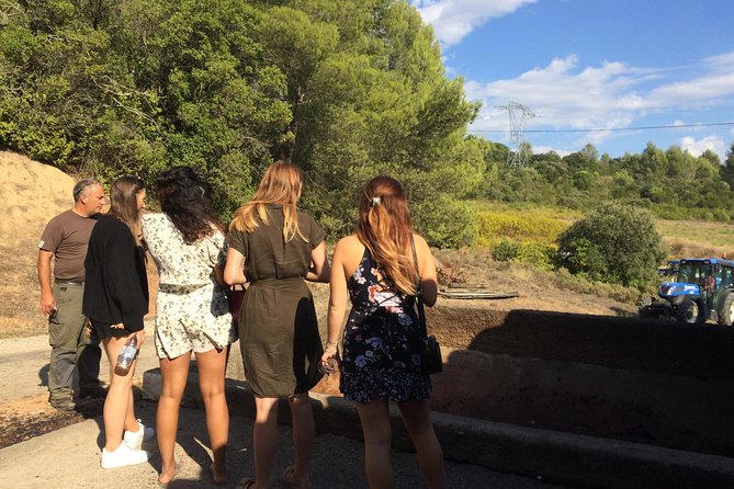 Half Day Wine Tour. Private Tour From Carcassonne and Around. - Tour Details