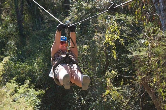 Half-Day Ziplining Experience From Mazatlán - Participant Feedback
