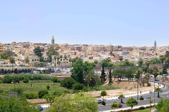 Happy Day Trip of Volubilis and Meknes From Fez - Group Tour Advantages