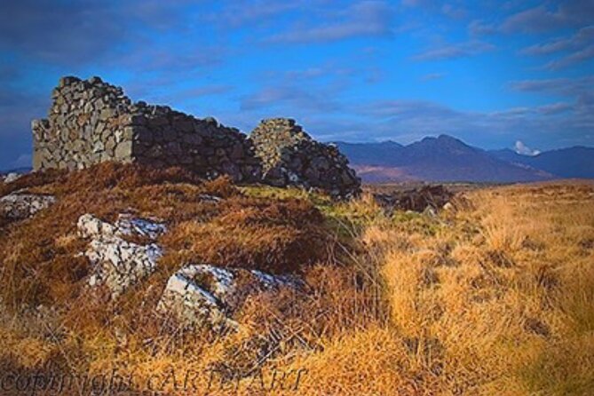 Haunted Bog Road Tour. Galway. Private Guided. 3 Hours - Explore the Haunted Bog Road