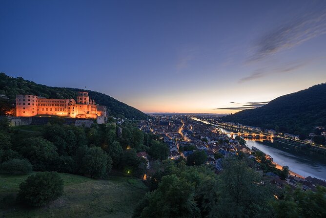 Heidelberg Heritage: Private Old Town and Castle Tour - Scenic Vistas and Photo Opportunities