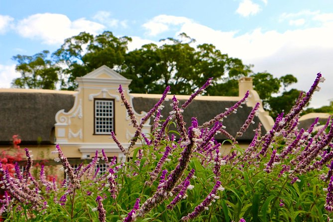 Helderberg Valley Winelands Day Tour With Private Transfer - Dining and Tastings