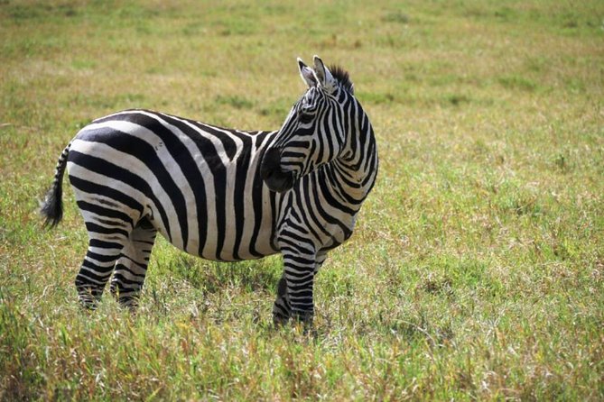 Hells Gate Excursion in Naivasha - Pickup Information