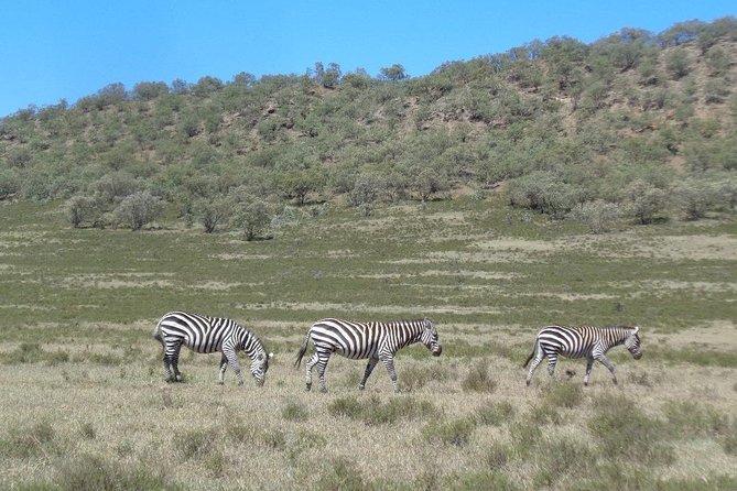 Hells Gate National Park Day Trip - Inclusions of the Day Trip