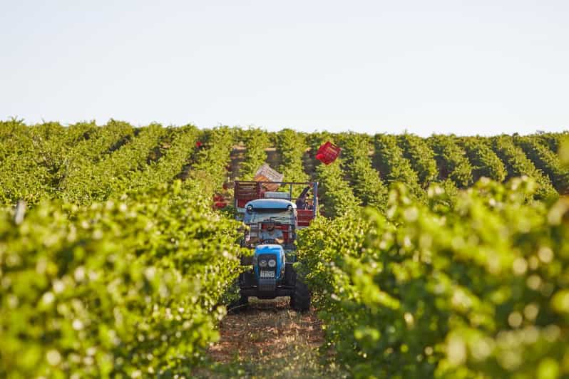 Heraklion: Olive Farm, Winery, and Raki Distillery Tour - Inclusions