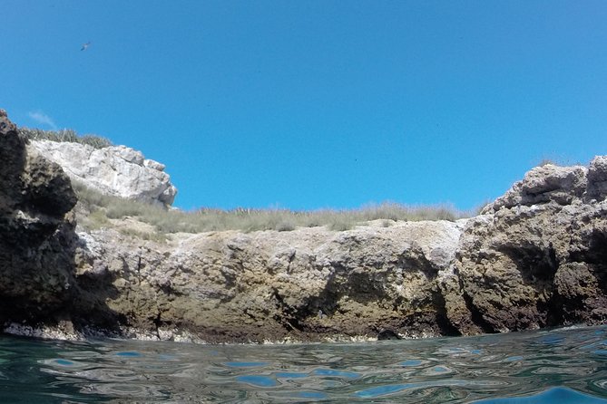 Hidden Beach Marietas Islands Experience - Health and Safety