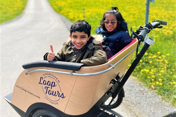 Hidden Gems E-Bike Tour With Picnic at Lake Brienz - Insider Knowledge From Expert Guides