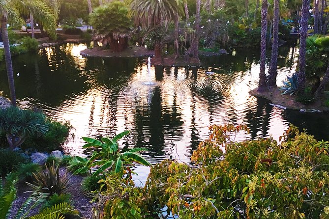 Hidden Nature Walks in the City Private Tour - Health and Safety Considerations