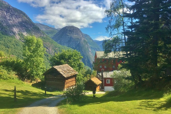 Highlights of Norway Sognefjord Tour Review - Accessibility and Participation