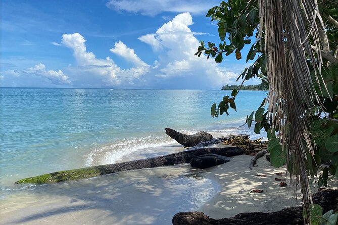 Hike Adventure in Cahuita National Park - Discovering Cahuitas Natural Beauty