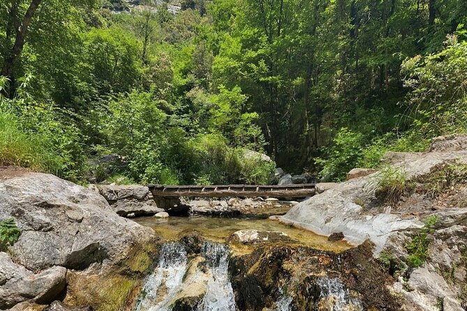 Hike the Valley of the Ferriere With Lunch at "Agriturismo Foreporta" - Customer Reviews