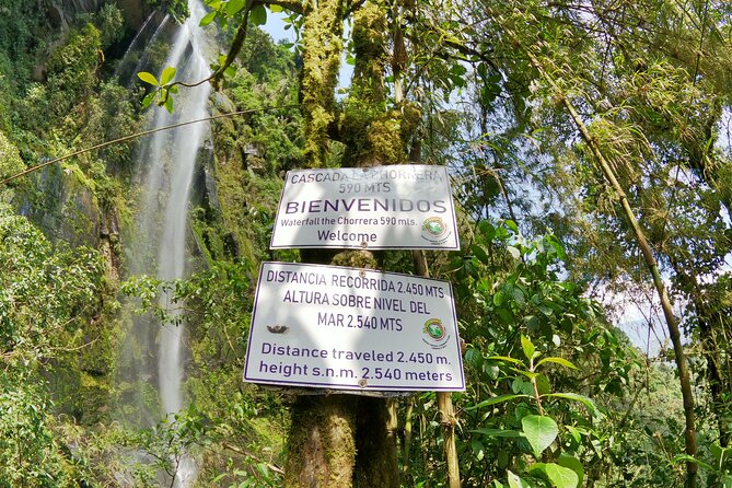 Hike to the Highest Waterfall in Colombia, La Chorrera - Reviews and Feedback