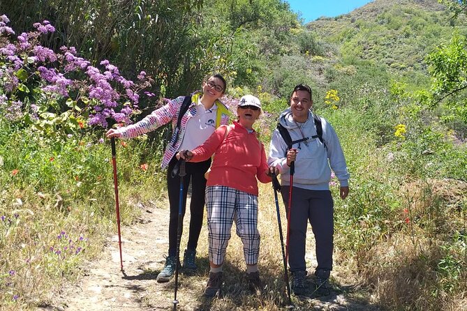 Hikes in the Green Gran Canaria - Inclusions and Amenities