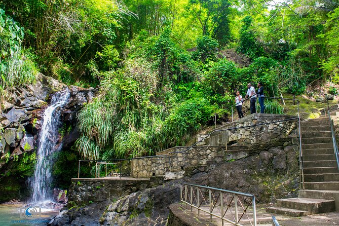 Hiking and Nature Rehabilitation Tour - Booking Information