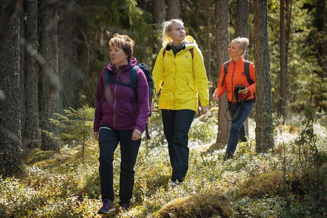 Hiking Around Forest and Lake - Exploring the Forest Trails