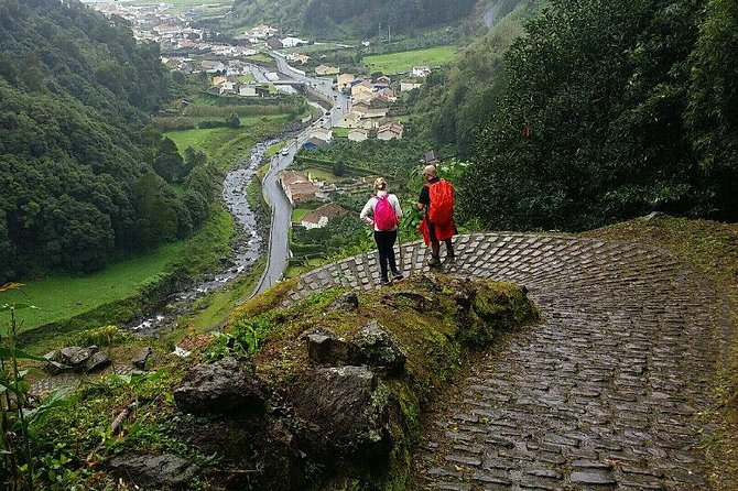Hiking Faial Da Terra + Van Tour Nordeste - Professional Multilingual Guide