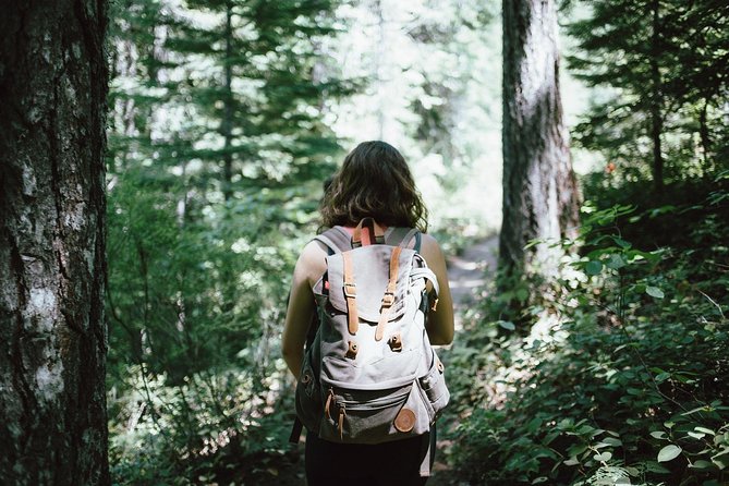 Hiking in Parnitha National Park From Athens - Pricing and Cancellation Policy