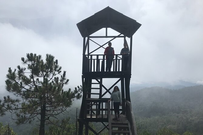 Hiking in the Enchanted Forest of Ixtepeji With Rescue Dogs - Accessibility and Requirements