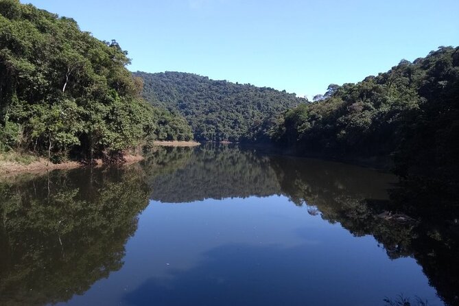 Hiking on the Cantareira Park - Viewing Local Flora and Fauna