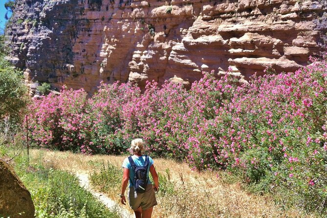 Hiking - Tajo Del Abanico - 7km Moderate - Meeting Point and Pickup Details