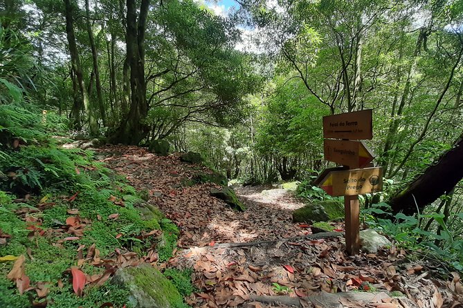 Hiking Tour Sanguinho Salto Do Prego Waterfall and Furnas - Health and Accessibility Considerations