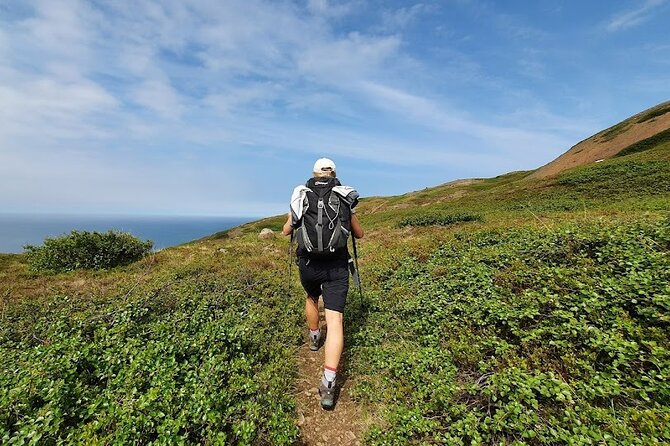 Hiking Tours in Troll Peninsula - Safety and Gear