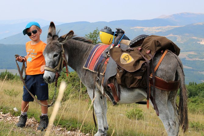 Hiking With Donkeys - Eco-Friendly Tourism Practices
