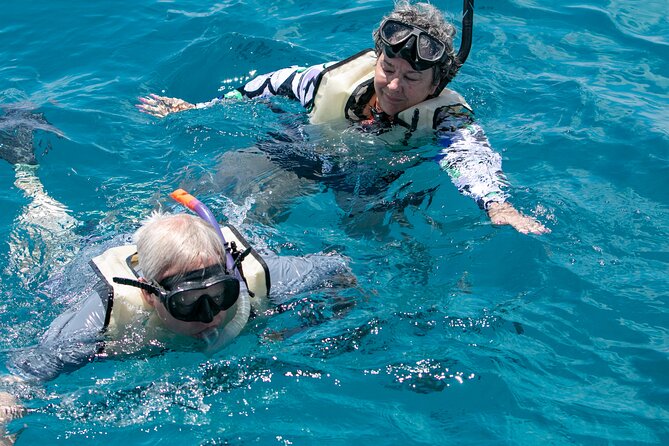 Hilton Hawaiian Village Turtle Snorkel With Optional Lunch - Health and Safety Guidelines