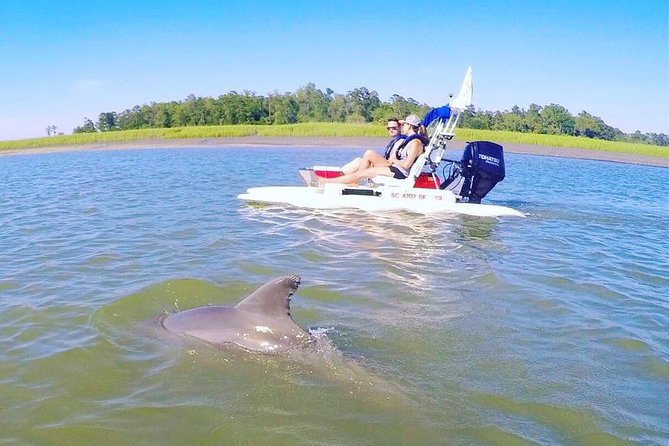 Hilton Head Guided Sunset Creek Cat Tour - Summary of Customer Reviews