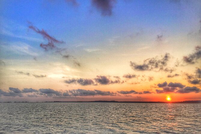 Hilton Head Island Sunset Dolphin Tour - What to Expect During the Tour