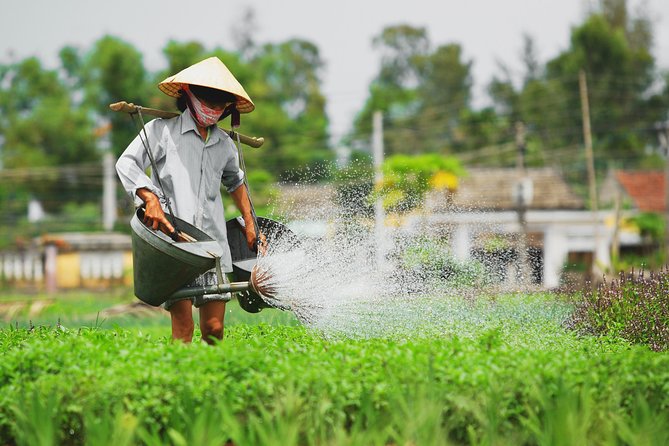 Hoi An Tra Que Vegetable Village & Cooking Class - Booking Information
