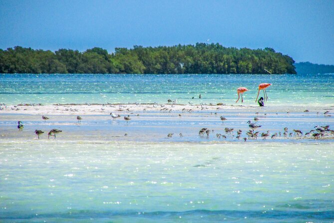 Holbox Island Tour From Playa Del Carmen - Health and Safety Information