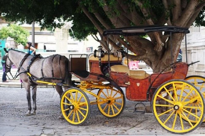 Horse-Drawn Carriage Private Ride Through Seville - Sights Covered During the Ride